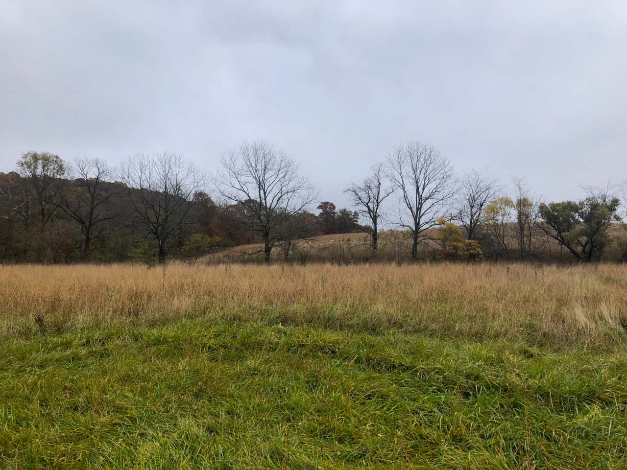 Jacks Fork Farmsteads Parcel B