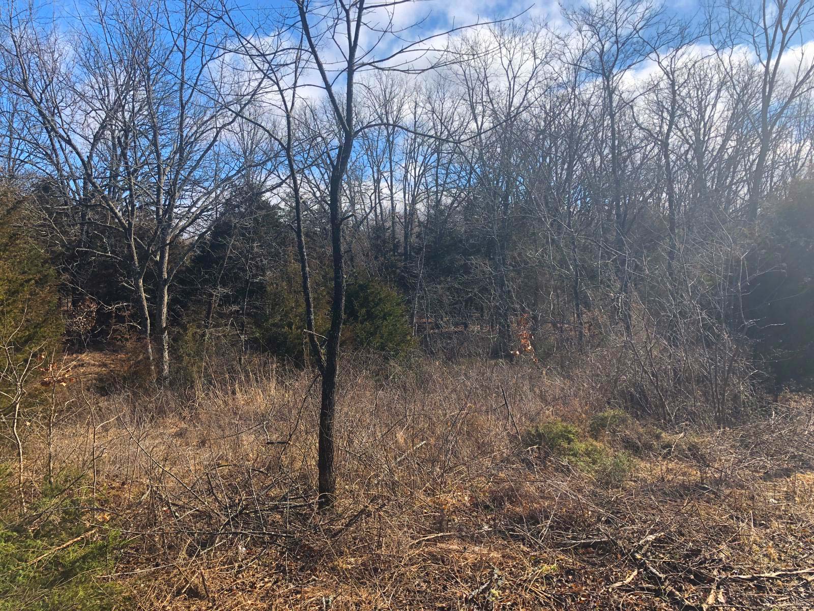 Roberts Road 1.5 Acres